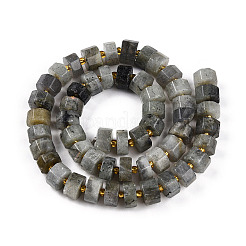 Natural Labradorite Beads Strands&nbsp;G-T140-34