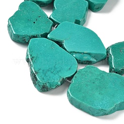 Natural Magnesite Beads Strands&nbsp;G-M448-E01-01