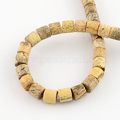 Natural Picture Jasper Stone Bead Strands&nbsp;G-R187-12