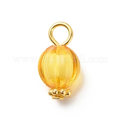 Transparent Acrylic Pendants&nbsp;PALLOY-JF01834-06