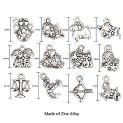 Zinc Alloy Charms&nbsp;PALLOY-CJ0001-100