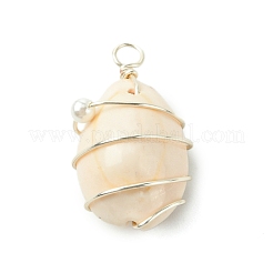Natural Cowrie Shell Copper Wire Wrapped Pendants&nbsp;PALLOY-TA00196-02