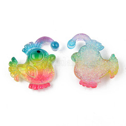 Rainbow Resin Cabochons&nbsp;LS-CRES-N024-42