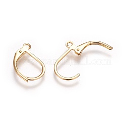 304 Stainless Steel Leverback Earrings Findings&nbsp;STAS-P227-47G