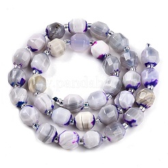 Natural Agate(Dyed) Beads Strands&nbsp;G-T141-05A