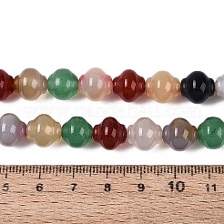 Dyed & Heated Natural Agate Beads Strands&nbsp;G-N359-10A-01