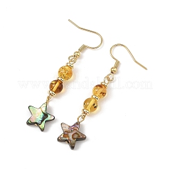 Natural Amber & Abalone Shell/Paua Shell Beads Dangle Earrings&nbsp;EJEW-JE07315-02