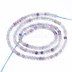 Natural Fluorite Beads Strands&nbsp;G-H266-21