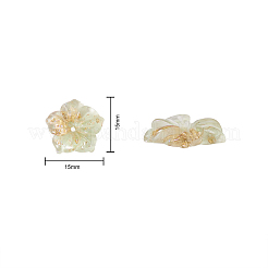 30Pcs 5 Colors Transparent Resin Cabochons&nbsp;RESI-CJ0001-186