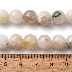 Natural White Moonstone Beads Strands&nbsp;G-I388-01-10mm