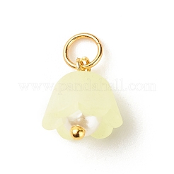Transparent Acrylic Charms&nbsp;PALLOY-JF01604-01