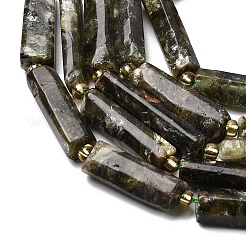 Natural Fuchsite Beads Strands&nbsp;G-D353-A18