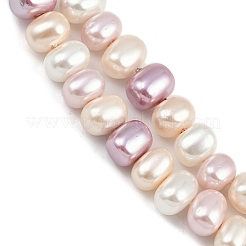 Electroplated Shell Pearl Beads Strands&nbsp;BSHE-H113-04B
