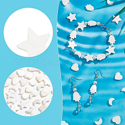 Natural Freshwater Shell Beads&nbsp;SHEL-BC0001-009