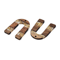 Transparent Resin & Waxed Walnut Wood Pendants&nbsp;RESI-Q211-02A