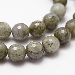 Natural Labradorite Beads Strands&nbsp;G-G736-04-8mm