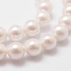 Rainbow Plated Shell Pearl Bead Strands&nbsp;X-BSHE-L025-02-6mm