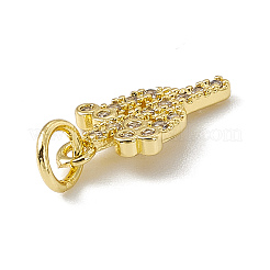 Brass Micro Pave Cubic Zirconia Charms&nbsp;ZIRC-F132-04G