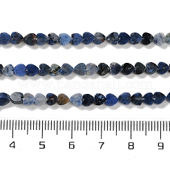 Natural Sodalite Beads Strands&nbsp;G-M403-A08-01