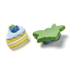 Opaque Cartoon Resin Decoden Cabochons&nbsp;RESI-G091-03