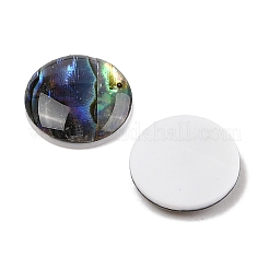 Natural Paua Shell Cabochons&nbsp;SSHEL-I026-20C