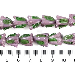 Handmade Lampwork Beads Strands&nbsp;LAMP-P066-01