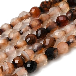 Dyed & Heated Natural Agate Beads Strands&nbsp;G-K376-F22-01