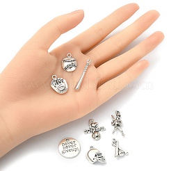 16Pcs 8 Style Tibetan Style Alloy Pendants Sets&nbsp;TIBEP-YW0001-41