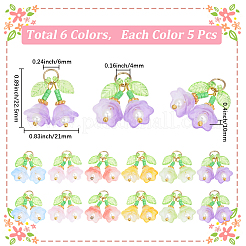 30Pcs 6 Colors Transparent Glass Pendants&nbsp;FIND-SC0019-73