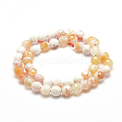 Natural Fire Crackle Agate Bead Strands&nbsp;G-G882-8mm-B06-6