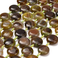 Natural Agate Beads Strands&nbsp;G-A321-L04-01