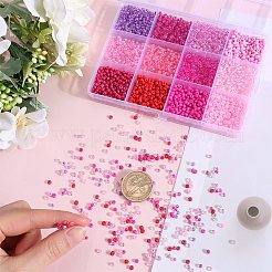 156g 12 Style Glass Seed Beads&nbsp;SEED-SC0001-32B-06