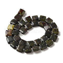 Natural Dragon Blood Jasper Beads Strands&nbsp;G-L596-A06-01