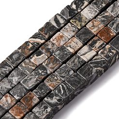Natural Map Stone Beads Strands&nbsp;X-G-T139-8x8-45A