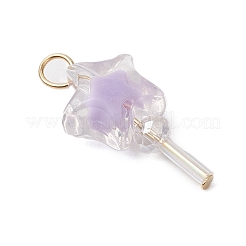5Pcs Acrylic & Glass Pendants&nbsp;PALLOY-JF03526-01