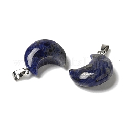Natural Sodalite Pendants&nbsp;G-H035-01P-03