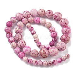 Natural Fossil Graduated Beads Strands&nbsp;G-F830-A03-01