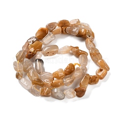 Natural Yellow Rutilated Quartz Beads Strands&nbsp;G-P497-01C-58