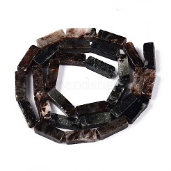 Natural Biotite Beads Strands&nbsp;G-T141-103
