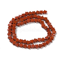 Natural Red Jasper Beads Strands&nbsp;G-G085-B56-02