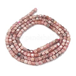 Natural Argentina Rhodonite Beads Strands&nbsp;G-Z057-A01-01