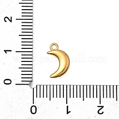 304 Stainless Steel Charms&nbsp;STAS-Z160-37G