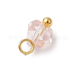 Electroplate Glass Charms&nbsp;PALLOY-JF04004