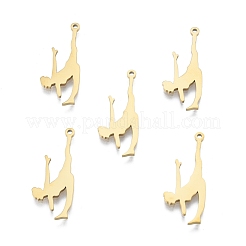 Ion Plating(IP) 201 Stainless Steel Pendants&nbsp;STAS-B027-29G