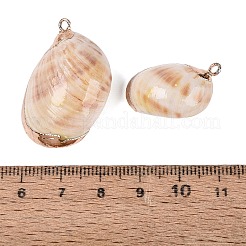 Electroplate Natural Spiral Shell Pendants&nbsp;SSHEL-Q100-35G