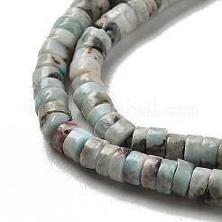Natural Larimar Beads Strands&nbsp;G-Q024-B03-01