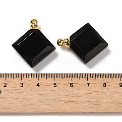 Natural Obsidian Perfume Bottle Pendants&nbsp;G-Z039-05G-03