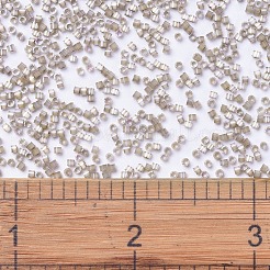 MIYUKI Delica Beads&nbsp;SEED-JP0008-DB0680
