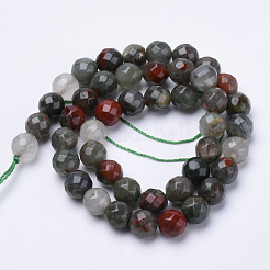 Natural African Bloodstone Beads Strands&nbsp;X-G-S281-21-8mm