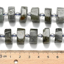 Natural Labradorite Beads Strands&nbsp;G-L642-H05-01